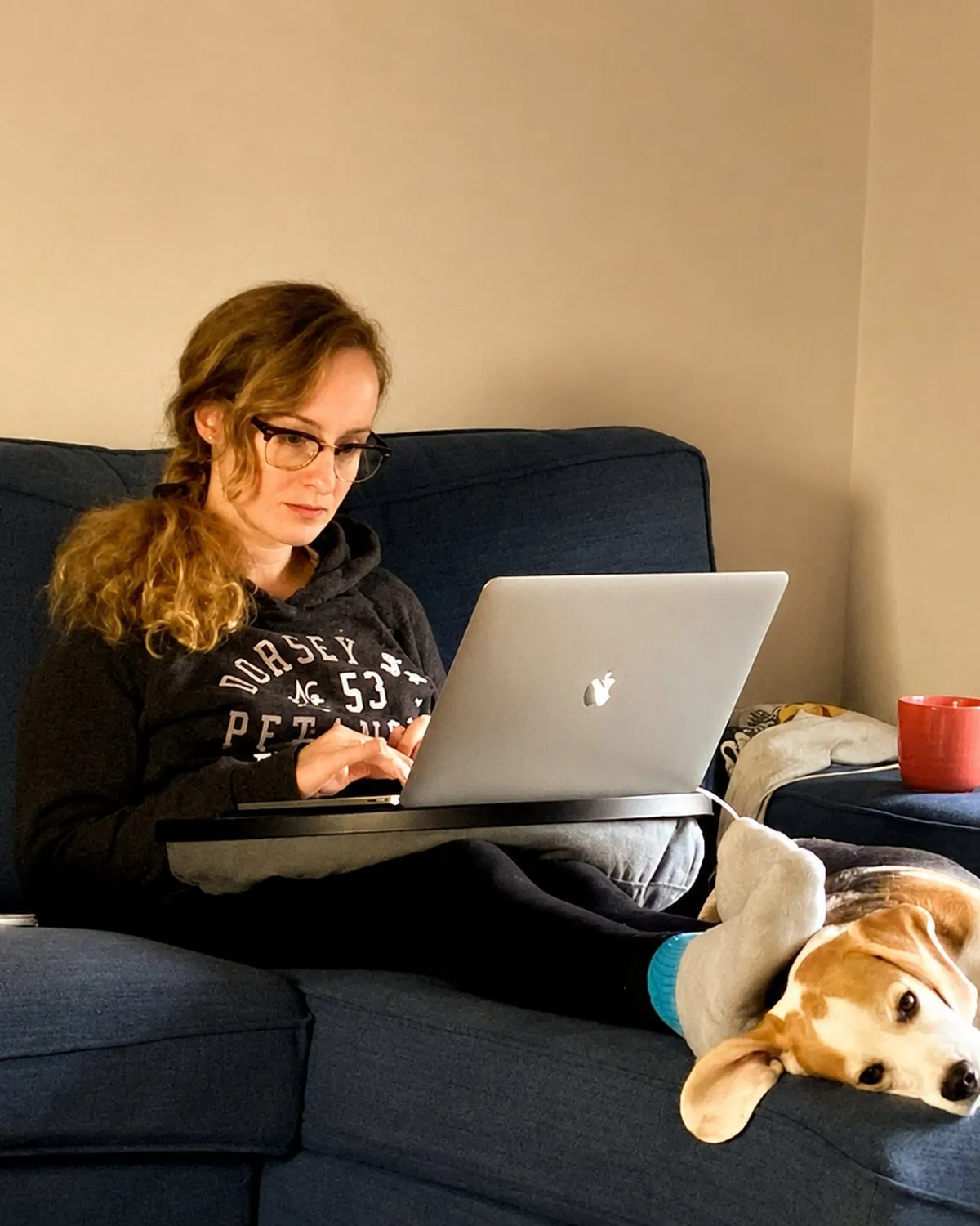 Evelina at her laptop, with the studio beagle on duty